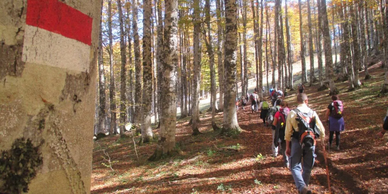 Ferrovie Dimenticate: Dalla Galleria Sellata-Arioso a Monteforte