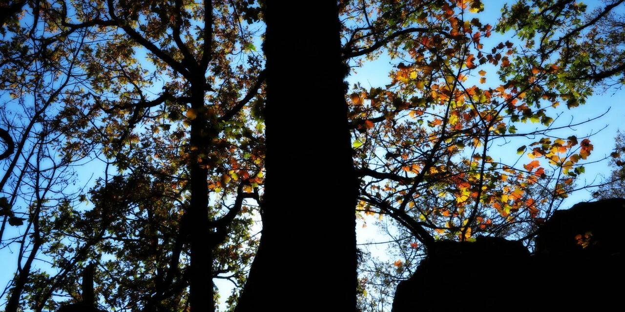 Parco di Gallipoli-Cognato e la” Stonehenge lucana” Basilicata misteriosa