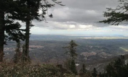 Parco Naturale Regionale del  Vulture: Da Rionero al Rifugio Monte Vulture