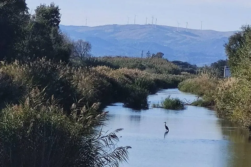 Bosco Pantano di Policoro, Costa Ionica Foce Sinni