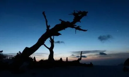 Parco Nazionale del Pollino. Alba al Giardino degli Dei