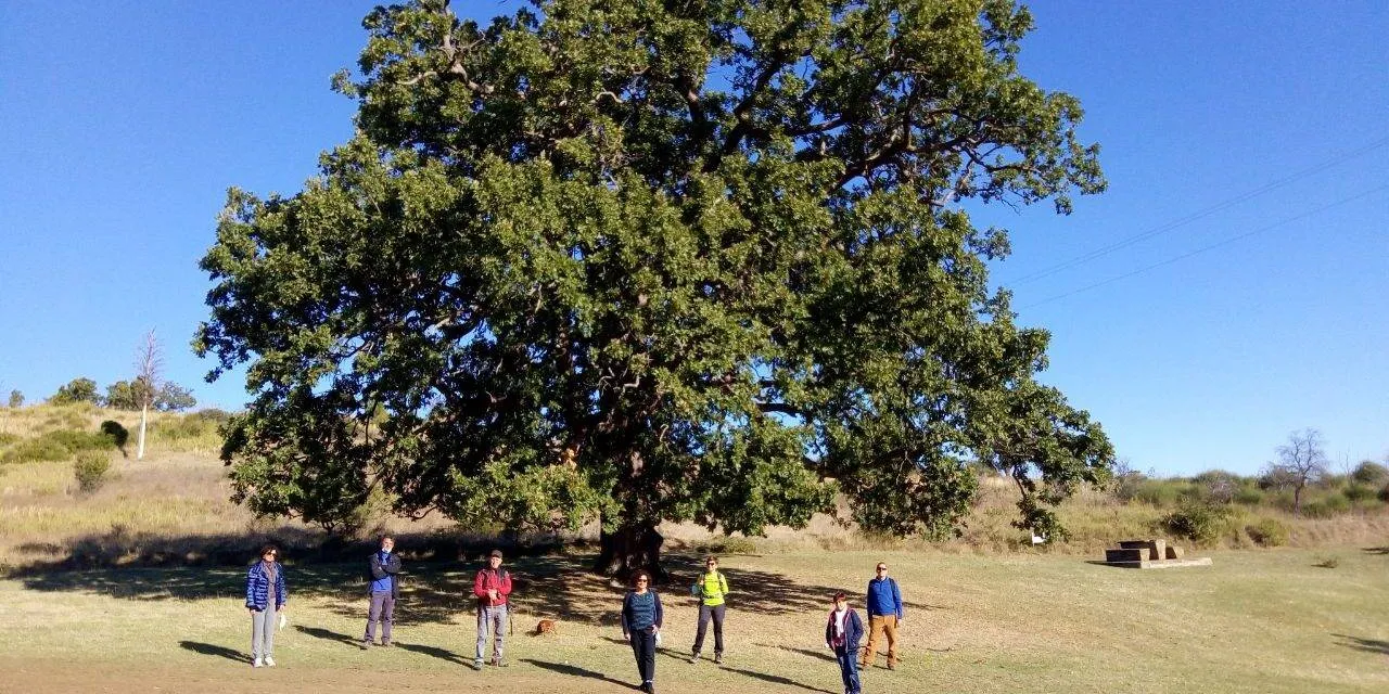 Madonna della Porticella e il bosco della Manferrara