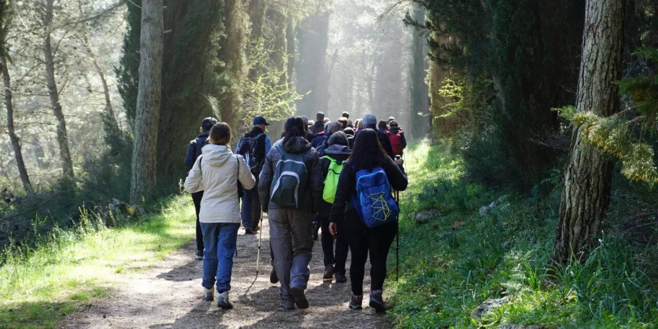 Da Gravina in Puglia al Bosco Difesa Grande