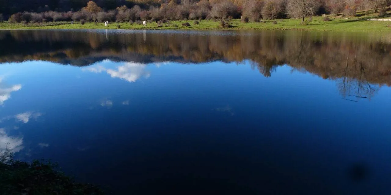 L’incanto del bosco: da Piana del Lago a Rifugio Romanelli