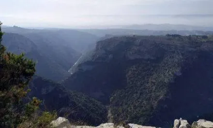 Murgia Timone – Bosco del Comune – Tempa Rossa