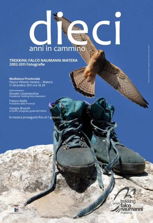 Dieci anni in cammino