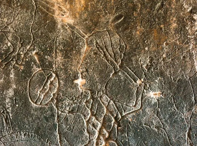 Masseria Malvezzi – Bosco di Lucignano – Madonna del Giglio