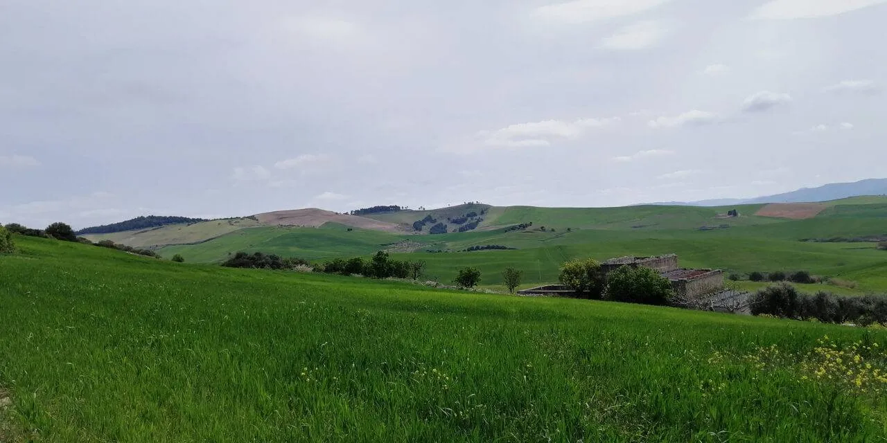 La campagna materana