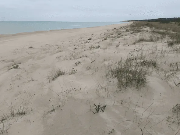 Alle foci del Bradano