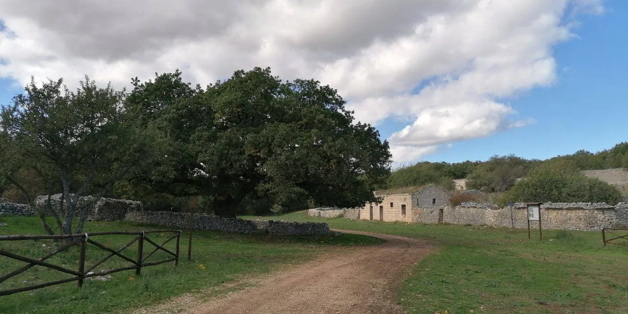 Querceti e Jazzi dell’Alta Murgia