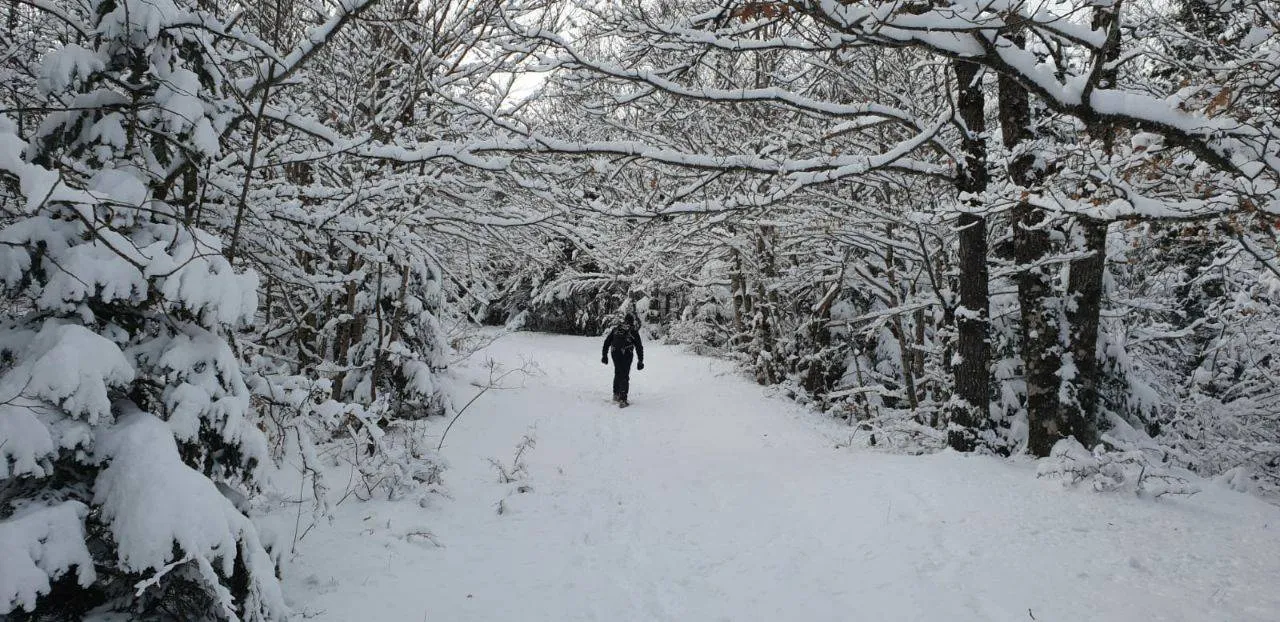 Camminando sulla neve
