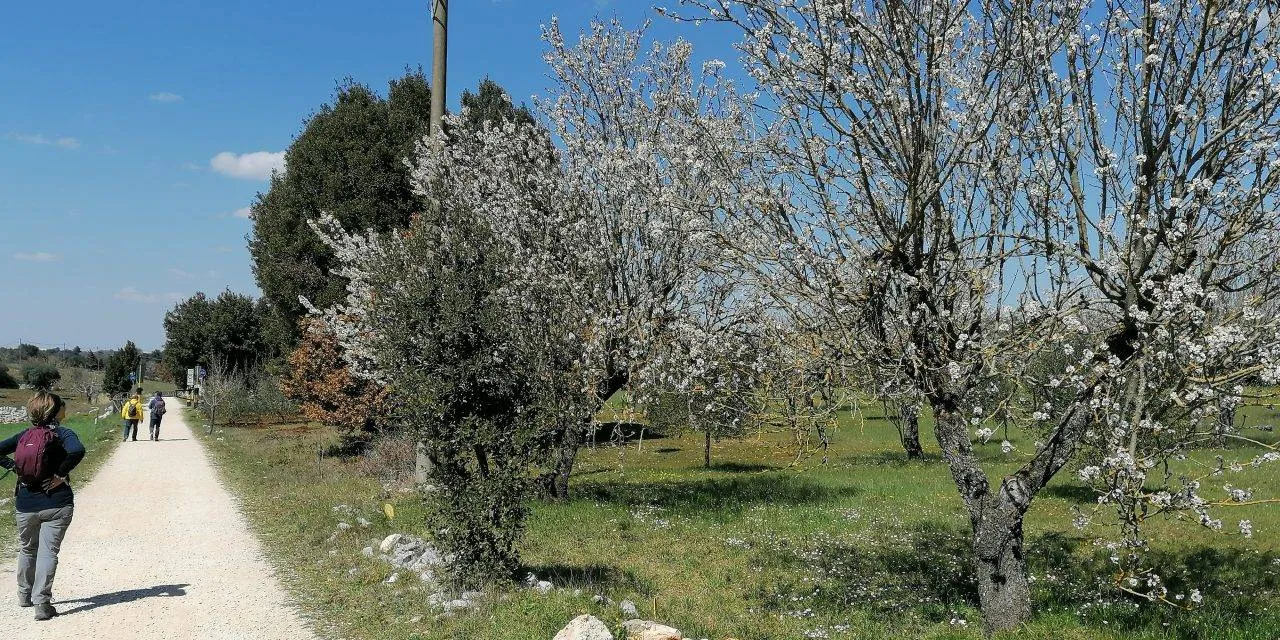 La via dell’Acquedotto. Dalla contrada “Mezzoprete” al bosco Ulmo