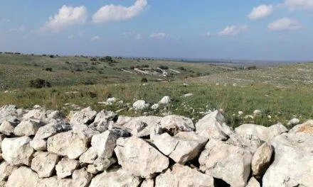 Da Fattoria Mandorla a Masseria Pietre tagliate