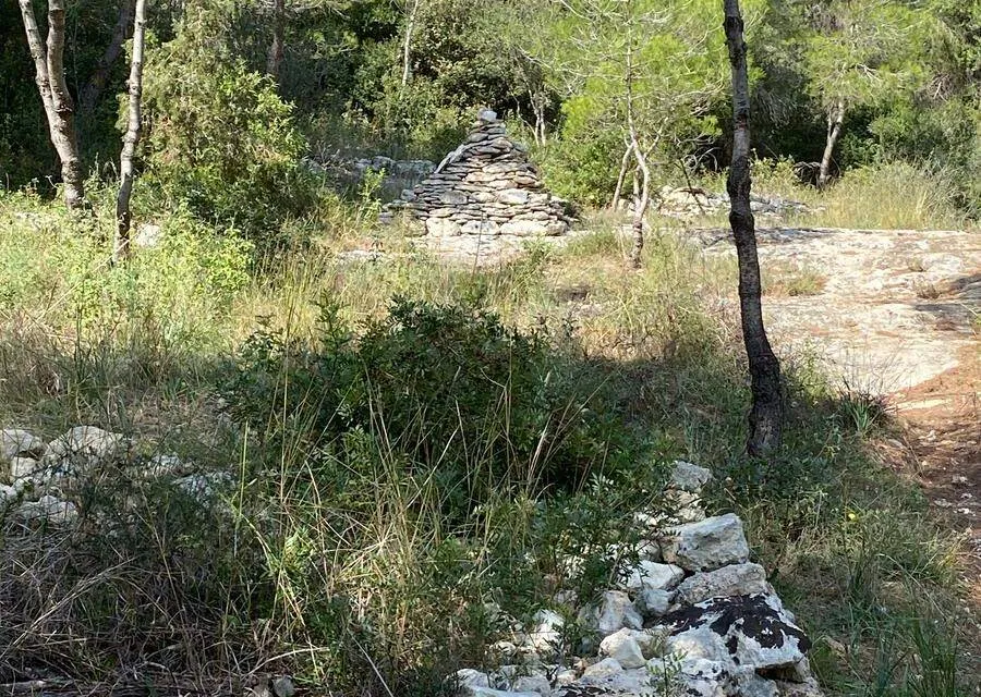 Sentiero del Capraio – sentiero Boscia