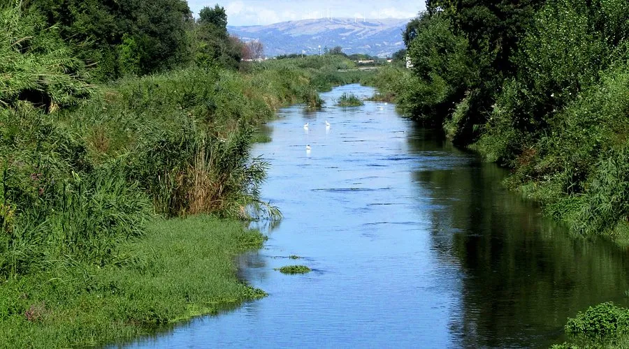 GRUPPO SENIORES-Costa Ionica : foce del Sinni e Bosco Pantano-Policoro