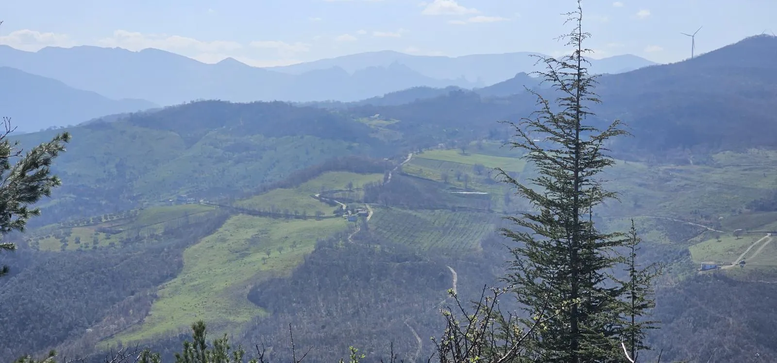 Tricarico – Il bosco di Mantenera tra sorgenti, natura e storia