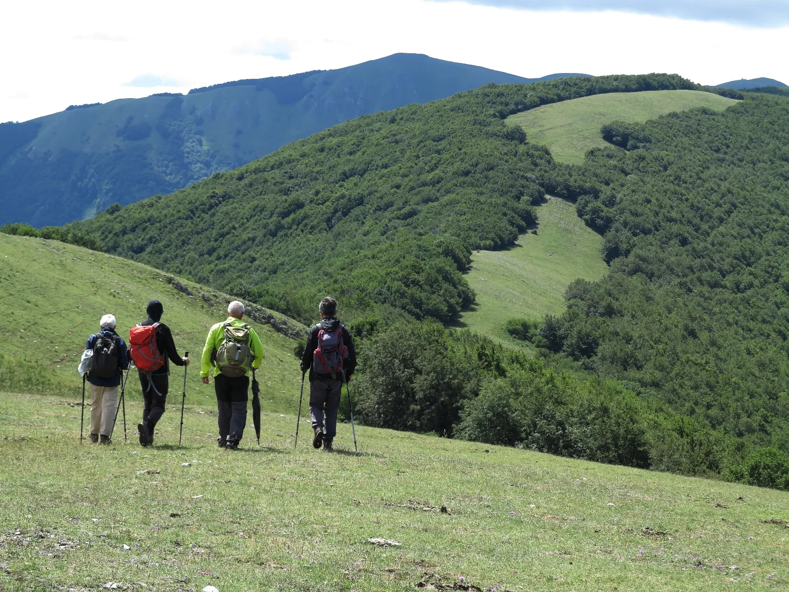 Piana del Lago -Calvelluzzo-Acqua dell’Abete