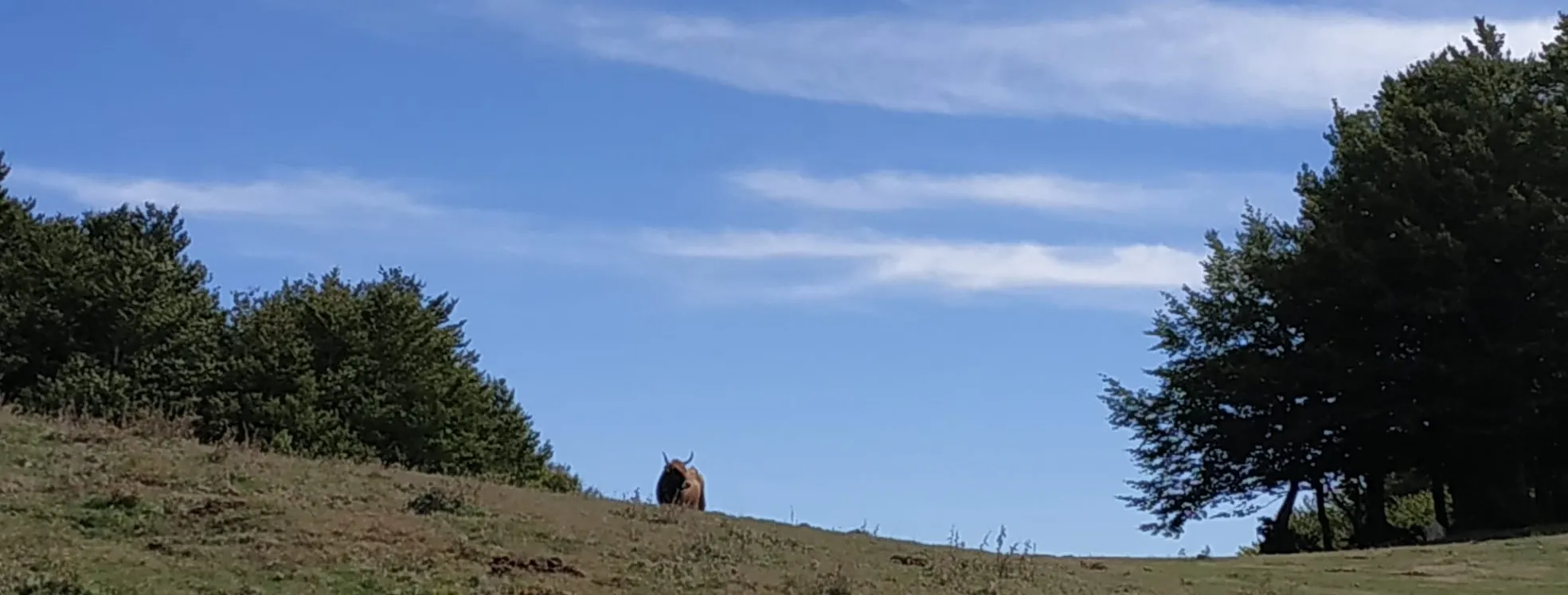 Monte Volturino (1835 mt. s.l.m.)