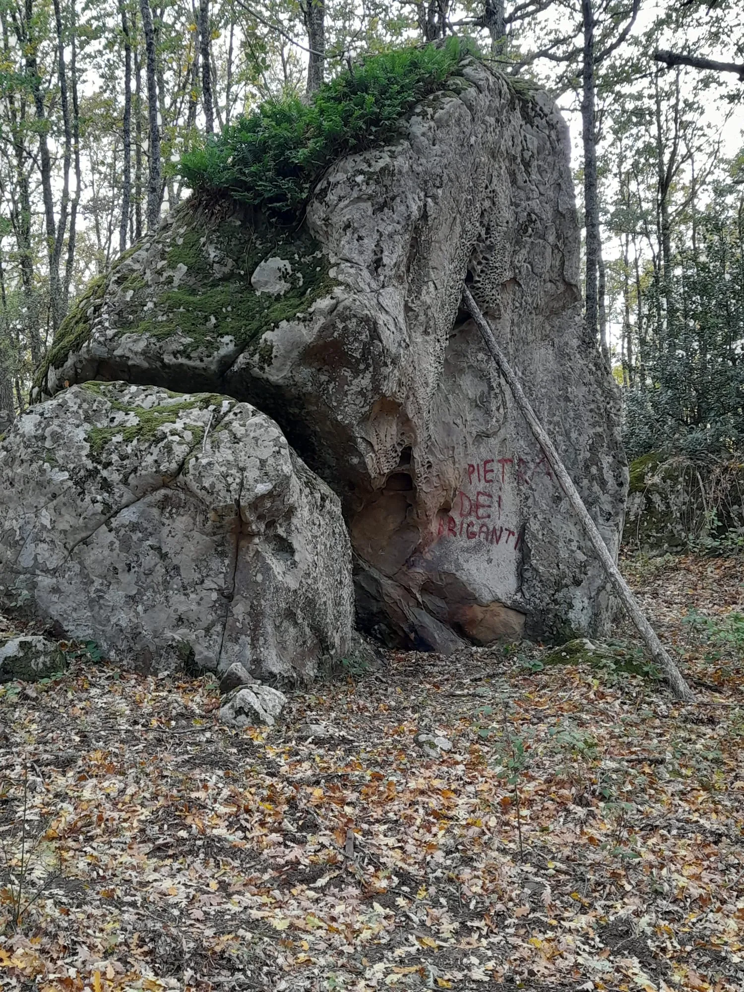 I colori dell’autunno ” Costa la Rossa”